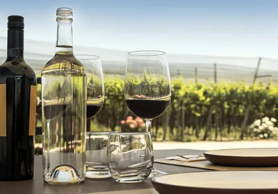White and red wine bottles on a set dining table with a vineyard in the background