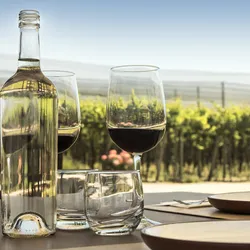 White and red wine bottles on a set dining table with a vineyard in the background