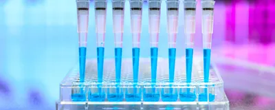 Conceptual image of automated liquid handling showing multiple pipette tips dispensing blue fluid into a multi-well dish. 