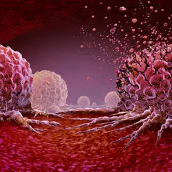 Cancerous growths in pink are shown on a red surface.