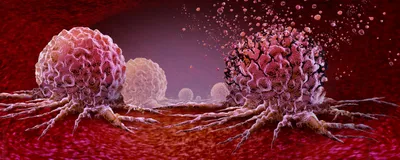 Cancerous growths in pink are shown on a red surface.