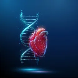 Conceptual image of gene editing for cardiovascular disease showing a model of a heart with a DNA helix in the background.