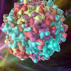 AAV Avenues for Cell and Gene Therapy