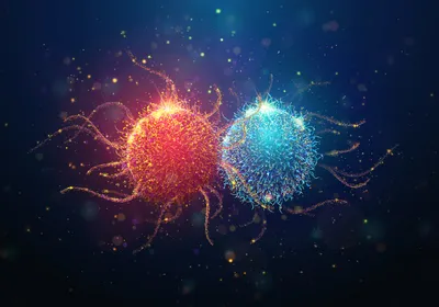 Abstract illustration of a tumor infiltrating lymphocyte (TIL) interacting with a cancer cell