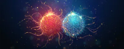Abstract illustration of a tumor infiltrating lymphocyte (TIL) interacting with a cancer cell