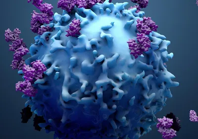 3D illustration of a lymphocyte binding to proteins.