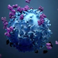 3D illustration of a lymphocyte binding to proteins.