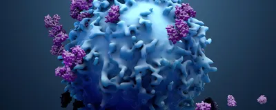3D illustration of a lymphocyte binding to proteins.