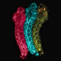Three mosquito larvae, colored pink, blue, or yellow, against a black background.