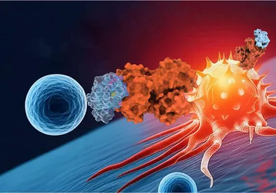 Three-dimensional rendering of minibinder molecules, represented as a red and light blue globular protein, as a soluble binder and expressed on the surface of a blue, spherical T cell, interacting with an orange-red, spiky, and vascular cancer cell.