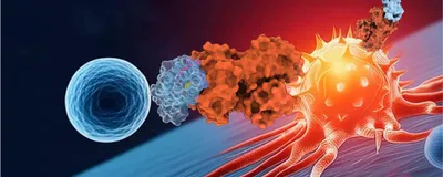 Three-dimensional rendering of minibinder molecules, represented as a red and light blue globular protein, as a soluble binder and expressed on the surface of a blue, spherical T cell, interacting with an orange-red, spiky, and vascular cancer cell.