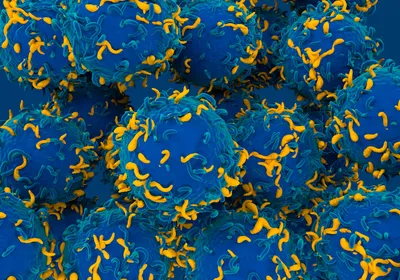 Conceptual image of 3D CAR T-cells depicted in blue and yellow.