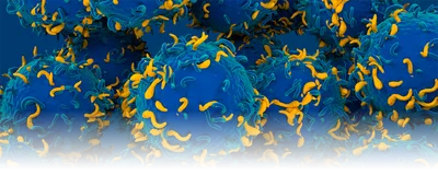 Conceptual image of 3D CAR T-cells depicted in blue and yellow.