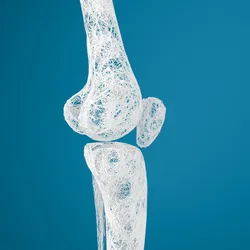 A digital drawing of human leg bones against a blue background.