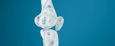 A digital drawing of human leg bones against a blue background.