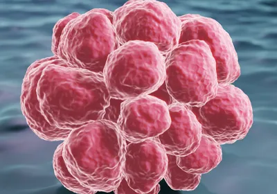 3D illustration of pink cancer cells on a blue background.