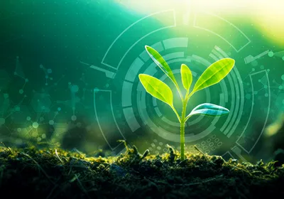 A green plant emerging from the soil overlaid with graphics representing science, innovation, and artificial intelligence