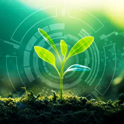A green plant emerging from the soil overlaid with graphics representing science, innovation, and artificial intelligence