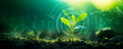A green plant emerging from the soil overlaid with graphics representing science, innovation, and artificial intelligence