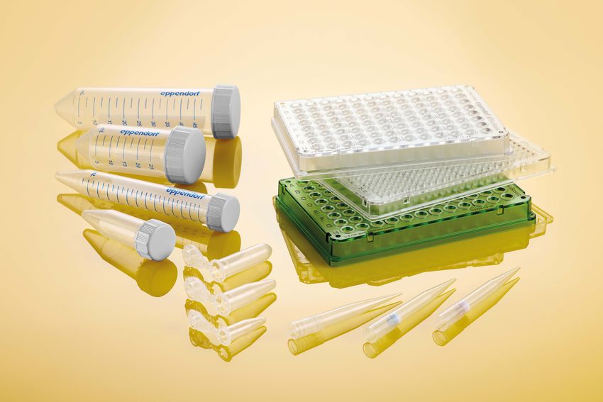 Eppendorf Safe-Lock Tubes Eppendorf Safe-Lock Tubes