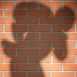 Spotlighted shadow of a robber-like figure on a brick wall. 