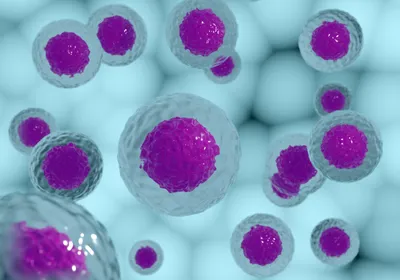 An illustration of cells in culture.