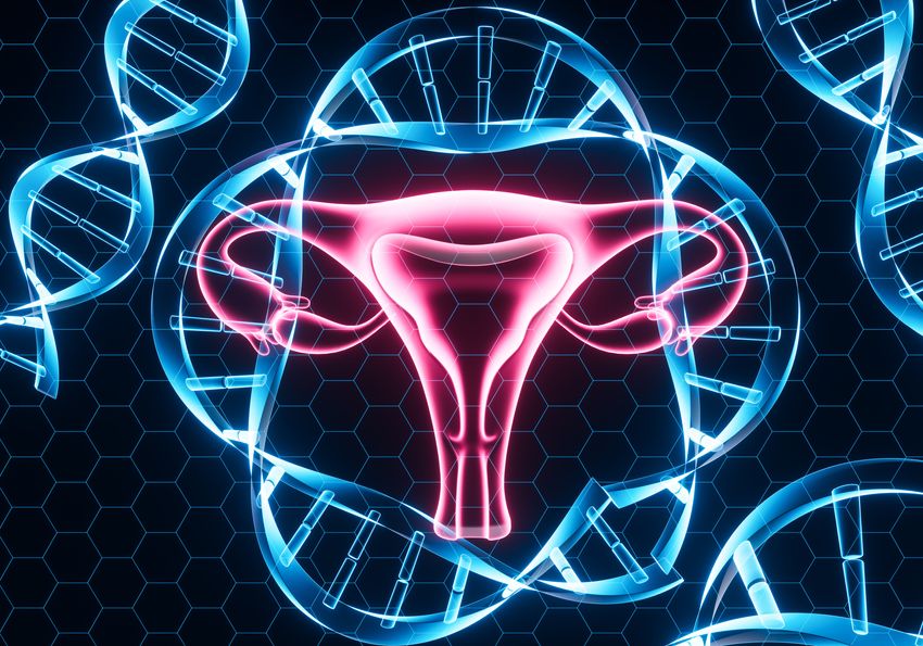 3D rendered uterus with cell-free DNA fragments in the background