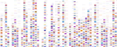 Striated bars illustrating a whole-genome sequencing map