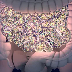 3D illustration of a transparent human abdomen with the large and small intestine visible. The small intestine appears to have a light emanating from within it and is full of yellow, blue, and pink microbes. This image is highlighting the role of the gut microbiome in chronic pain. 3D illustration of a transparent human abdomen with the large and small intestine visible. The small intestine appears to have a light emanating from within it and is full of yellow, blue, and pink microbes. This image is highlighting the role of the gut microbiome in chronic pain.