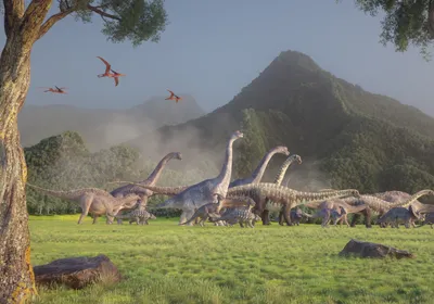 Multiple dinosaurs walk across a lush valley landscape. Several pterosaur-like creatures roam the sky, and two trees frame the image, as a hill looms in the background.