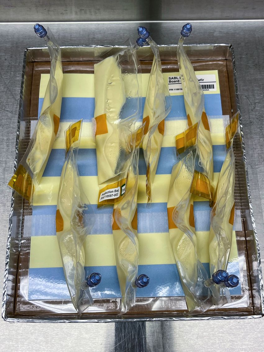 Several transparent pouches with yellow-colored material placed on a tray.