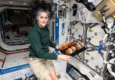 Astronaut Suni Williams displays production packs containing genetically engineered yeast and edible media for incubation to activate yeast growth.