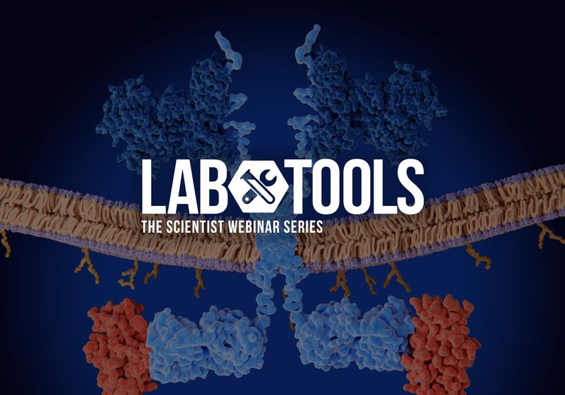 Engineering the Next Generation of CAR T Cells for Solid Tumors | The ...