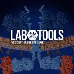 Engineering the Next Generation of CAR T Cells for Solid Tumors