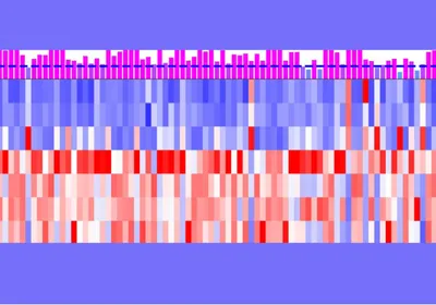 Image of expression patterns of predicted target de novo genes. These are depicted as bars of varying shades from white, red, and blue.