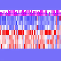 Image of expression patterns of predicted target de novo genes. These are depicted as bars of varying shades from white, red, and blue.