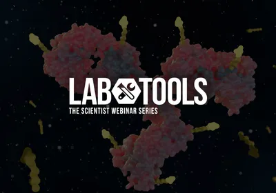 Hit Go for Fast, Low-Volume Protein Characterization on Stunner