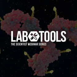 Hit Go for Fast, Low-Volume Protein Characterization on Stunner