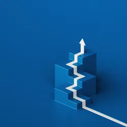 Explore key considerations for tailoring transfection workflows