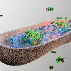 3D illustration of a rod-shaped bacteria accumulating PFAS compounds intracellularly. 3D illustration of a rod-shaped bacteria accumulating PFAS compounds intracellularly.