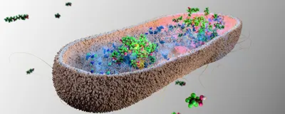 3D illustration of a rod-shaped bacteria accumulating PFAS compounds intracellularly. 