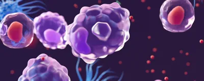 3D conceptual image of purple-colored macrophages on a black background. 