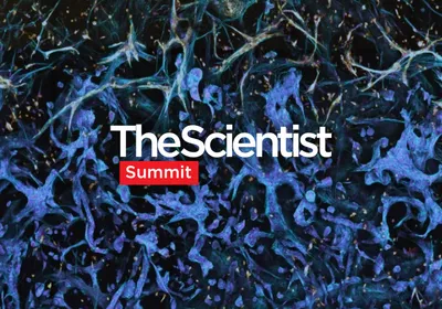 Bridging Advanced 3D Cell Culture and Real-World Discovery Bridging Advanced 3D Cell Culture and Real-World Discovery