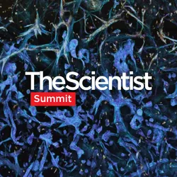 Bridging Advanced 3D Cell Culture and Real-World Discovery