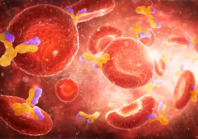 Red bloods cells and proteins flowing inside a blood vessel