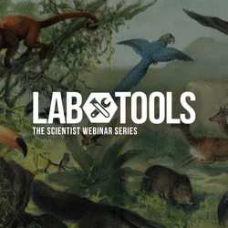 High-Throughput NGS for Biodiversity Restoration