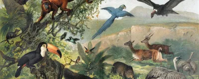 High-Throughput NGS for Biodiversity Restoration