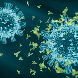 3D illustration of spherical blue viruses with receptors sticking out surrounded by green, Y-shaped antibodies. 3D illustration of spherical blue viruses with receptors sticking out surrounded by green, Y-shaped antibodies.