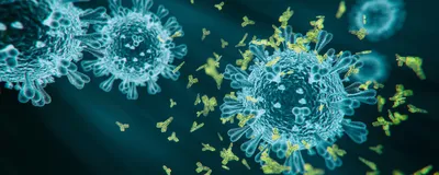 3D illustration of spherical blue viruses with receptors sticking out surrounded by green, Y-shaped antibodies.