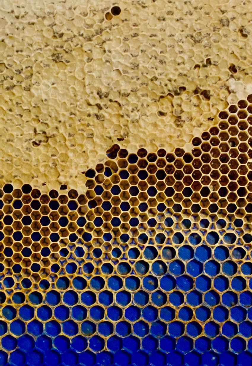 Image of a blue 3D foundation with yellow honeycomb of a smaller size on top.